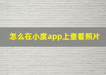 怎么在小度app上查看照片