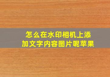 怎么在水印相机上添加文字内容图片呢苹果