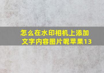 怎么在水印相机上添加文字内容图片呢苹果13