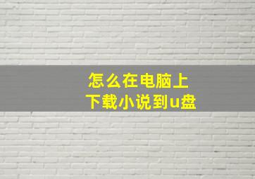 怎么在电脑上下载小说到u盘