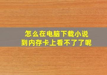 怎么在电脑下载小说到内存卡上看不了了呢