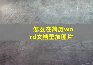 怎么在简历word文档里加图片