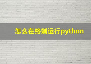 怎么在终端运行python