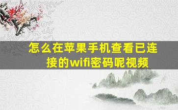 怎么在苹果手机查看已连接的wifi密码呢视频