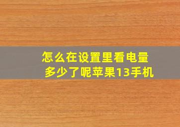 怎么在设置里看电量多少了呢苹果13手机