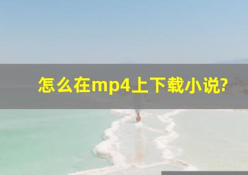 怎么在mp4上下载小说?