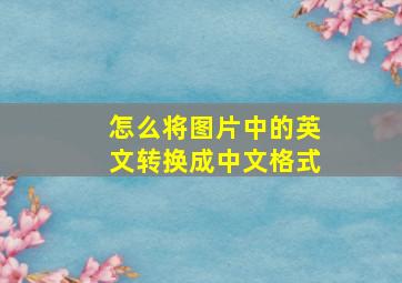 怎么将图片中的英文转换成中文格式