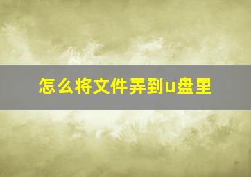 怎么将文件弄到u盘里