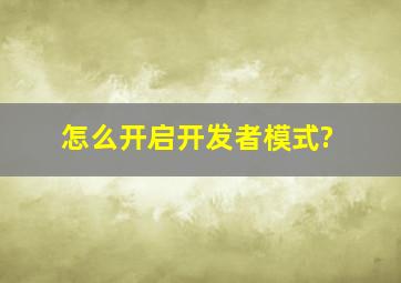 怎么开启开发者模式?