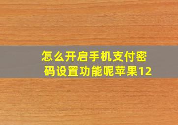 怎么开启手机支付密码设置功能呢苹果12