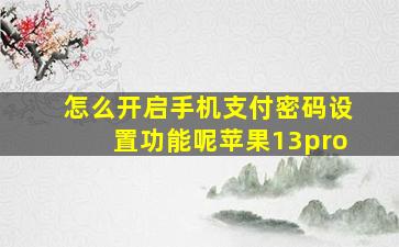 怎么开启手机支付密码设置功能呢苹果13pro