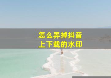 怎么弄掉抖音上下载的水印