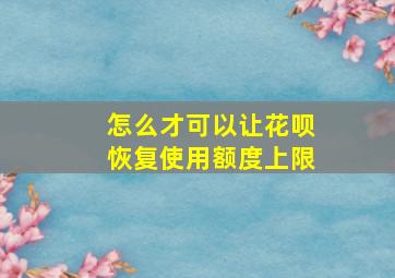 怎么才可以让花呗恢复使用额度上限