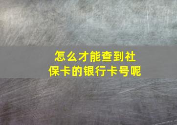 怎么才能查到社保卡的银行卡号呢