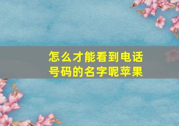 怎么才能看到电话号码的名字呢苹果