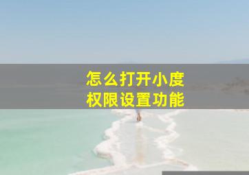 怎么打开小度权限设置功能