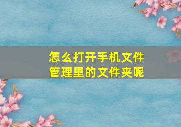 怎么打开手机文件管理里的文件夹呢