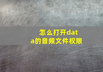 怎么打开data的音频文件权限