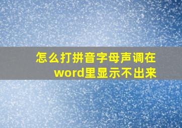 怎么打拼音字母声调在word里显示不出来