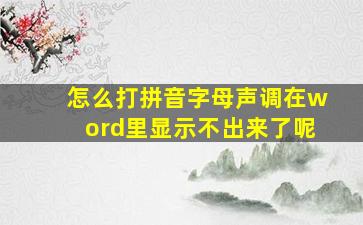 怎么打拼音字母声调在word里显示不出来了呢