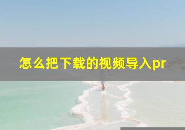 怎么把下载的视频导入pr