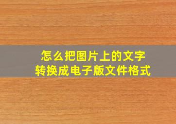 怎么把图片上的文字转换成电子版文件格式