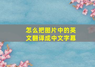 怎么把图片中的英文翻译成中文字幕