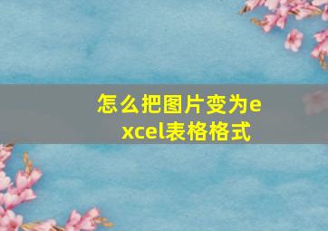 怎么把图片变为excel表格格式