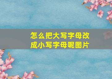 怎么把大写字母改成小写字母呢图片