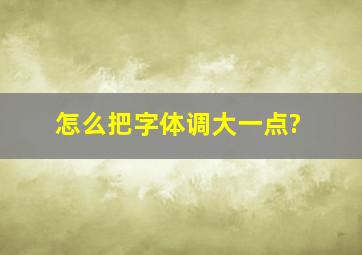 怎么把字体调大一点?