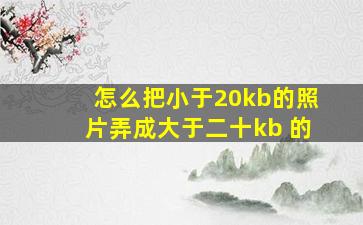 怎么把小于20kb的照片弄成大于二十kb 的