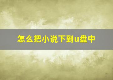 怎么把小说下到u盘中