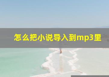 怎么把小说导入到mp3里