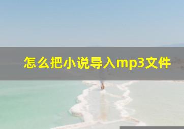 怎么把小说导入mp3文件