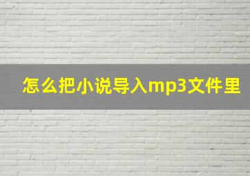 怎么把小说导入mp3文件里