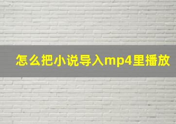 怎么把小说导入mp4里播放