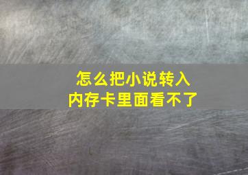 怎么把小说转入内存卡里面看不了