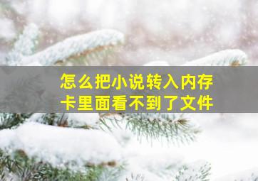 怎么把小说转入内存卡里面看不到了文件