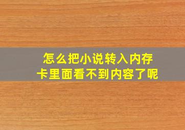 怎么把小说转入内存卡里面看不到内容了呢