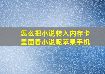 怎么把小说转入内存卡里面看小说呢苹果手机