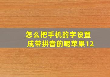 怎么把手机的字设置成带拼音的呢苹果12