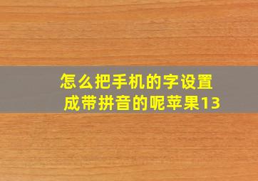 怎么把手机的字设置成带拼音的呢苹果13