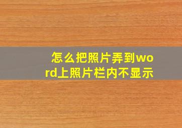 怎么把照片弄到word上照片栏内不显示