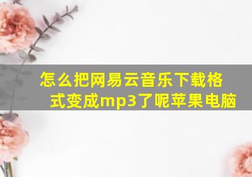 怎么把网易云音乐下载格式变成mp3了呢苹果电脑