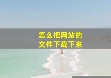 怎么把网站的文件下载下来