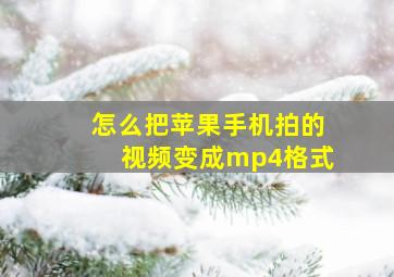 怎么把苹果手机拍的视频变成mp4格式