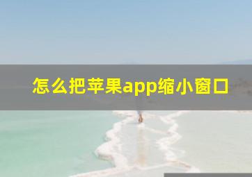 怎么把苹果app缩小窗口