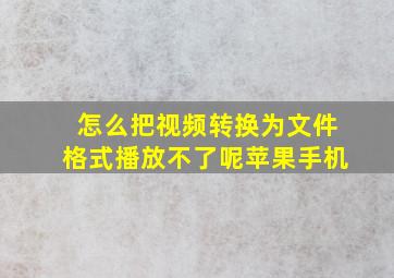 怎么把视频转换为文件格式播放不了呢苹果手机