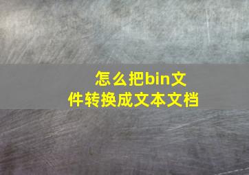 怎么把bin文件转换成文本文档