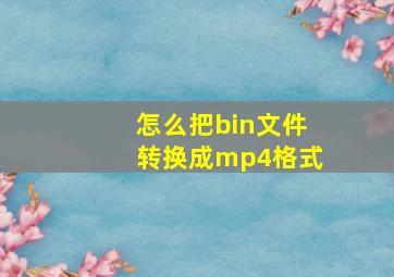 怎么把bin文件转换成mp4格式